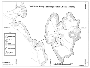 S1.6 Plan of topographic survey of Brei Holm (ibid.) - click for a larger image